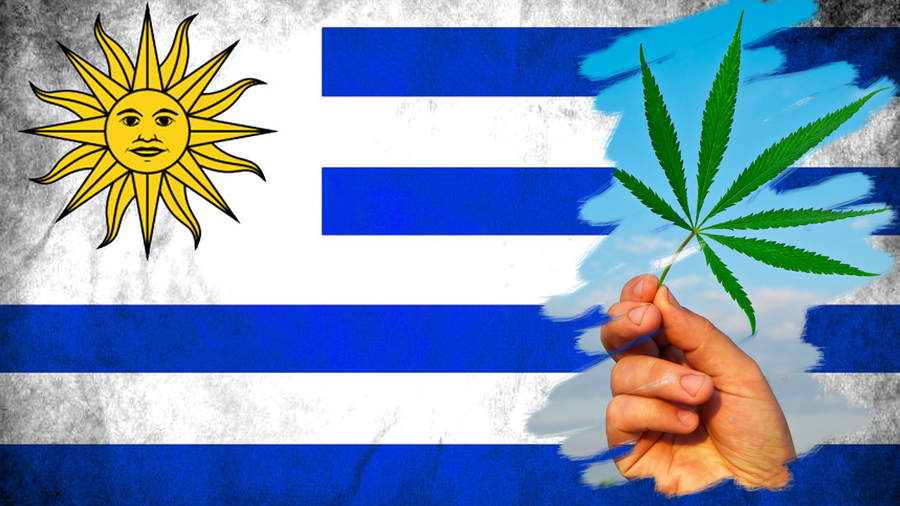 Ilustração de uma bandeira do Uruguai com a foto de uma mão segurando uma folha de maconha sobre sua extremidade direita. Marcha.