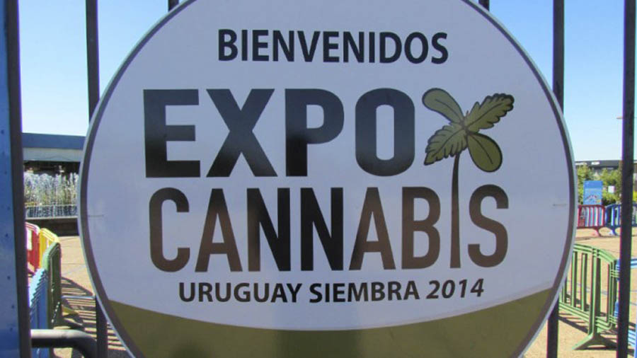 ExpoCannabis a feira de maconha Expo Cannabis