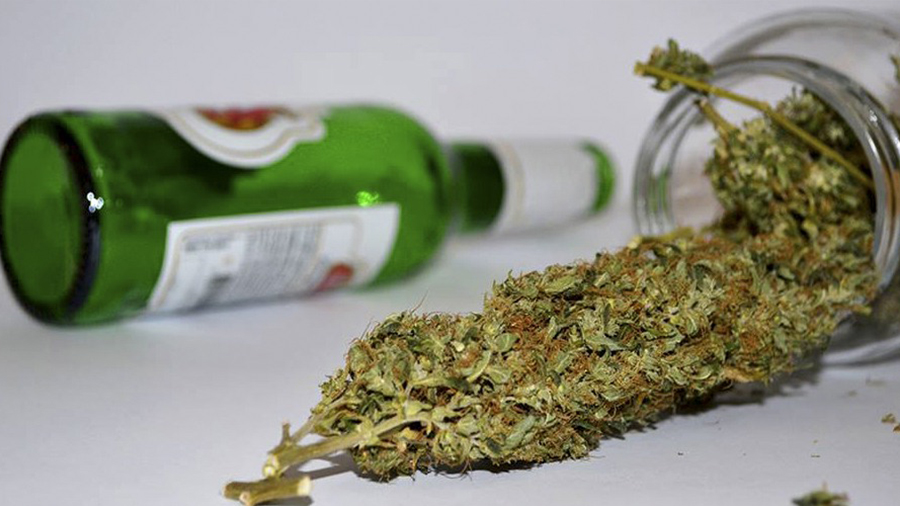 Maconha é 114 vezes mais segura que o álcool, revela estudo - Smoke Buddies - Smoke Buddies
