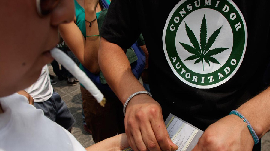 Impacto da descriminalização sobre uso de drogas foi neutro no exterior - Smoke Buddies