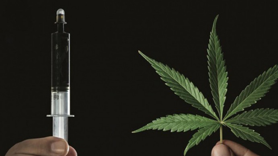 Fotografia de uma seringa contendo substância de cor escura na posição vertical (parte esquerda da foto), uma folha de maconha e as pontas dos dedos que as seguram, com um fundo preto. Cannabis.