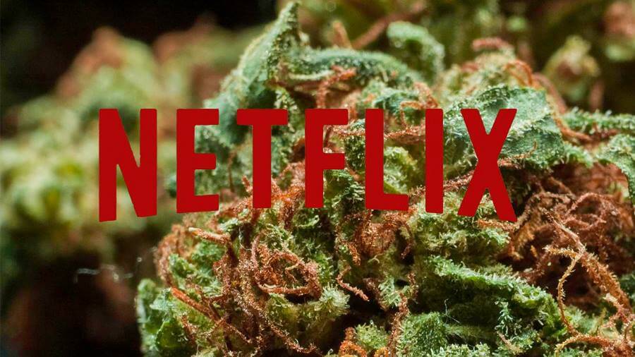 As 4 melhores animações para assistir chapado no Netflix #1 - Smoke Buddies  - Tudo sobre Cannabis