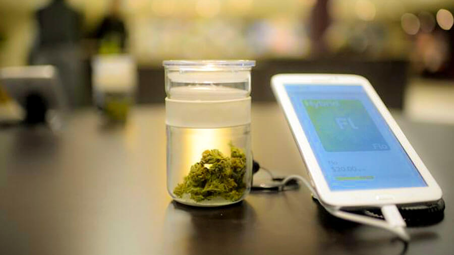 Fotografia que mostra um pote transparente contendo buds de cannabis secos e um smartphone com as informações da cepa à venda, sobre um balcão de madeira escuro; ao fundo, desfocado, o interior de uma loja. Foto: Hyoung Chang | Denver Post.