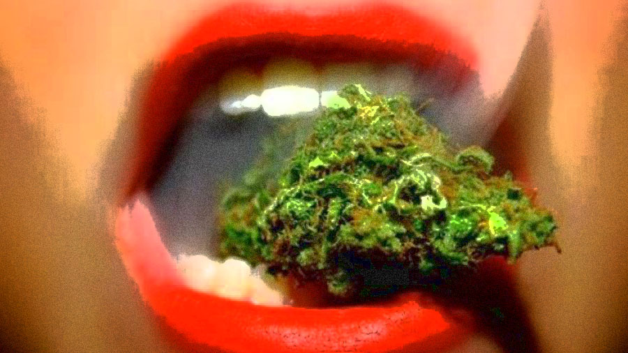 Fotografia em close-up e efeito texturizado de uma boca aberta, com os lábios pintados de vermelho, que segura entre os dentes uma flor de cannabis enquanto expele fumaça. Menina.