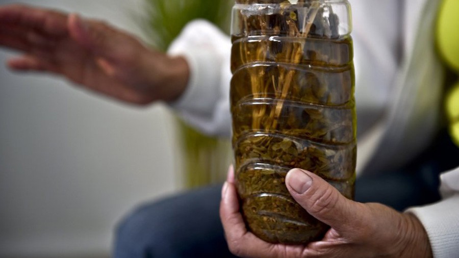 Álcool de maconha: remédio 'da vovó' burla proibição no México - Smoke Buddies