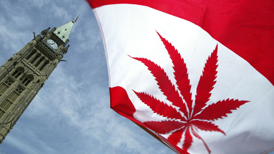 Ottawa concede primeira licença para a venda de óleo de maconha - Smoke Buddies