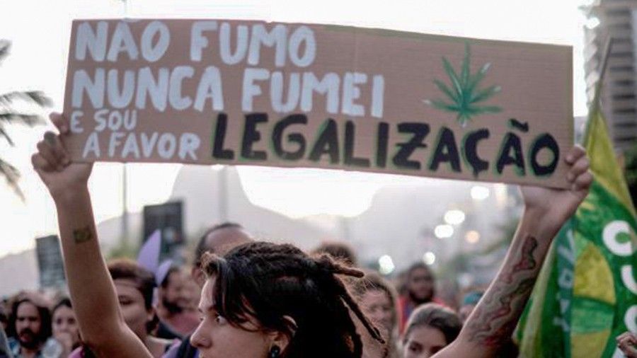 Maioria dos brasileiros apoiam o uso medicinal da maconha - Smoke Buddies
