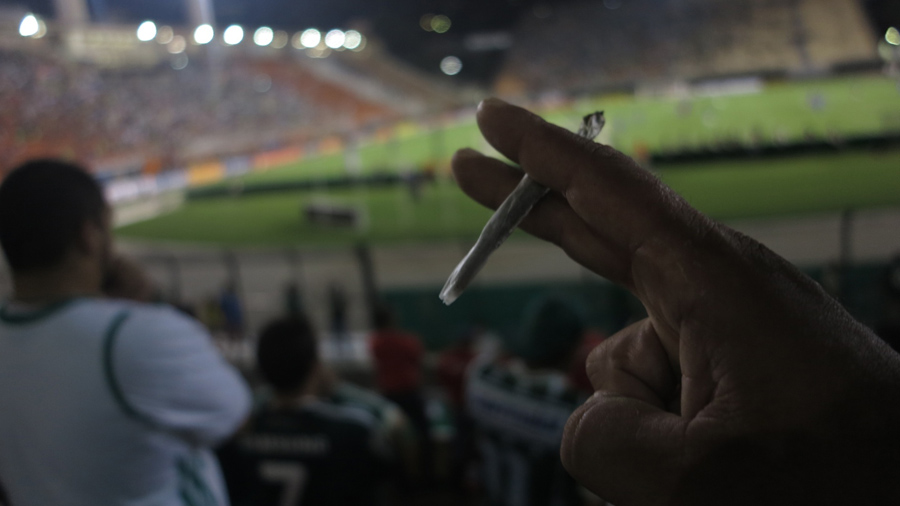 Torcedores contam por que gostam de fumar maconha no estádio - Smoke Buddies