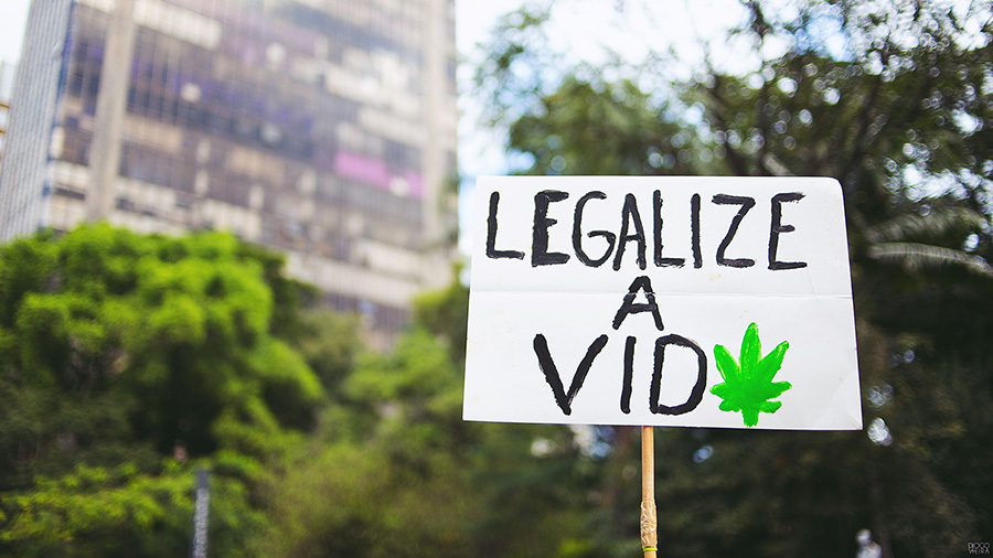 Uma placa branca com a frase escrita em preto "Legalize a vida" na qual a última letra (a) foi substituída pelo desenho de uma folha de maconha na cor verde, e um fundo desfocado de prédios e árvores. Brasil.