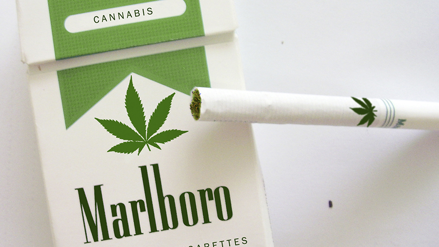Fotografia em ângulo superior de uma caixa de cigarros da Marlboro em cor verde, e personalizada com o desenho de uma folha de maconha, deitada e sobre ela um cigarro também personalizado, sobre um fundo branco.