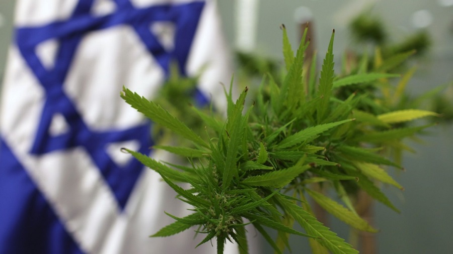Fotografia em plano fechado de uma inflorescência de maconha de cor verde apontada para a câmera; ao fundo e fora de foco (parte esquerda da foto), pode-se ver a bandeira de Israel arriada. Israelense.