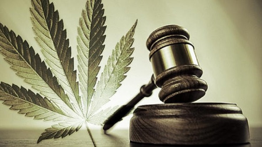 Fotomontagem que mostra uma folha de maconha (cannabis) com efeito de luz em sua base, junto a um martelo de juiz e sua base.
