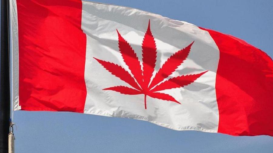 Bandeira do Canadá, onde estão em alta as ações da maconha, personalizada com uma folha da erva no lugar da folha de bordo.