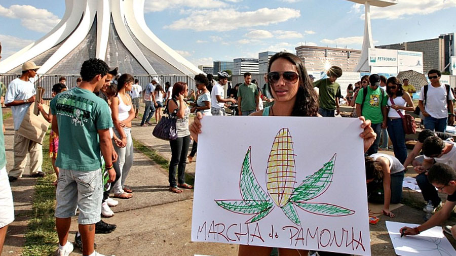 Uma manifestante segurando um cartaz com o desenho de um milho e a frase "Marcha da Pamonha" durante a Marcha da MACONHA de Brasília.