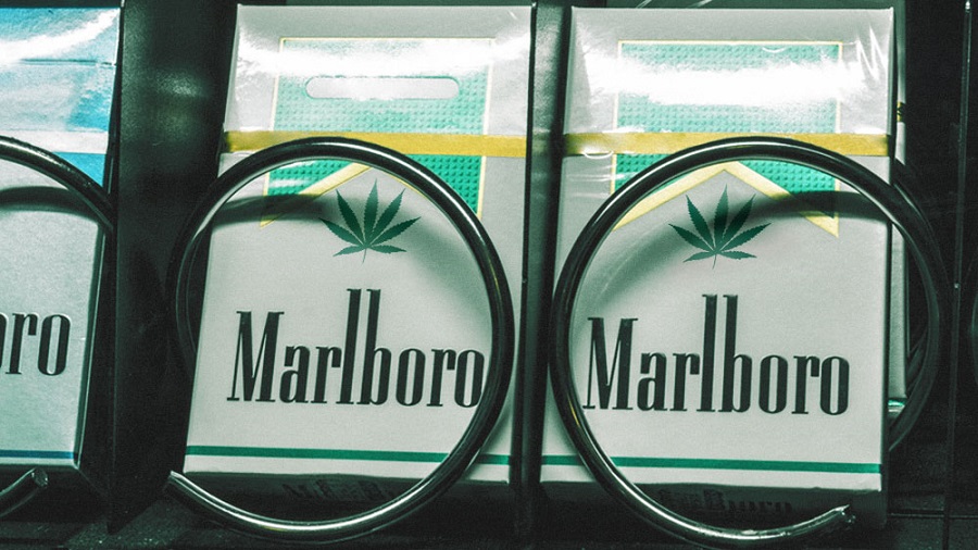 Fotografia em close de duas caixas de cigarros da marca Marlboro personalizadas com o desenho de uma folha de maconha e dispostas atrás de dois anéis metálicos como os de dispensadores de lojas.