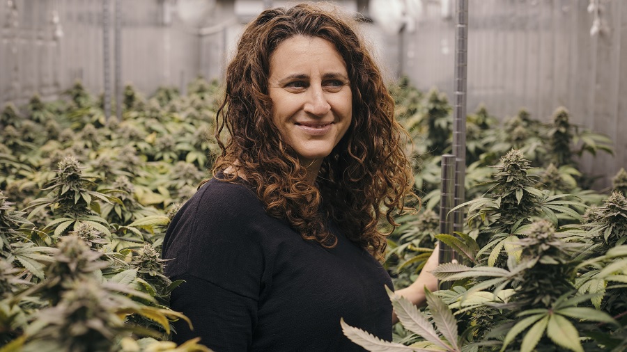 Fotografia em primeiro plano e meio perfil de Amy Margolis vestindo uma blusa preta e sorrindo, no meio de um grande cultivo de cannabis, onde pode-se ver as paredes metálicas refletindo a luz branca da estufa.