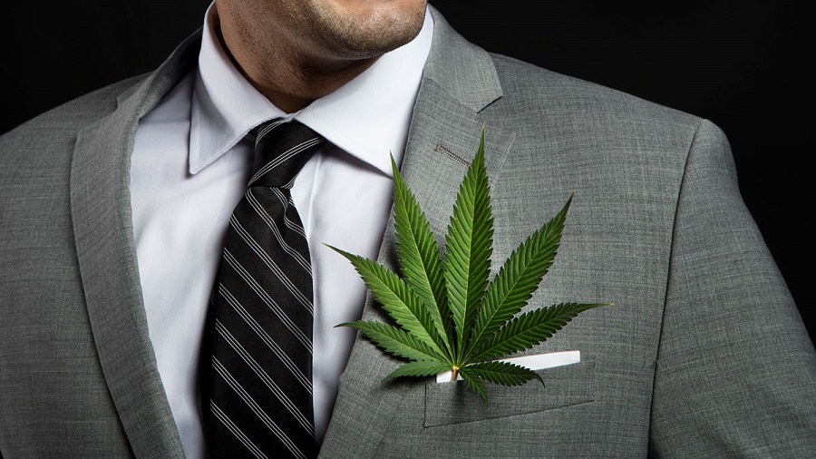 Fotografia mostra um homem, do queixo ao peito, vestindo paletó cinza, camisa branca e gravata preta listrada, onde pode-se ver uma folha de maconha (cannabis) em seu bolso; e um fundo escuro. Consultoria.
