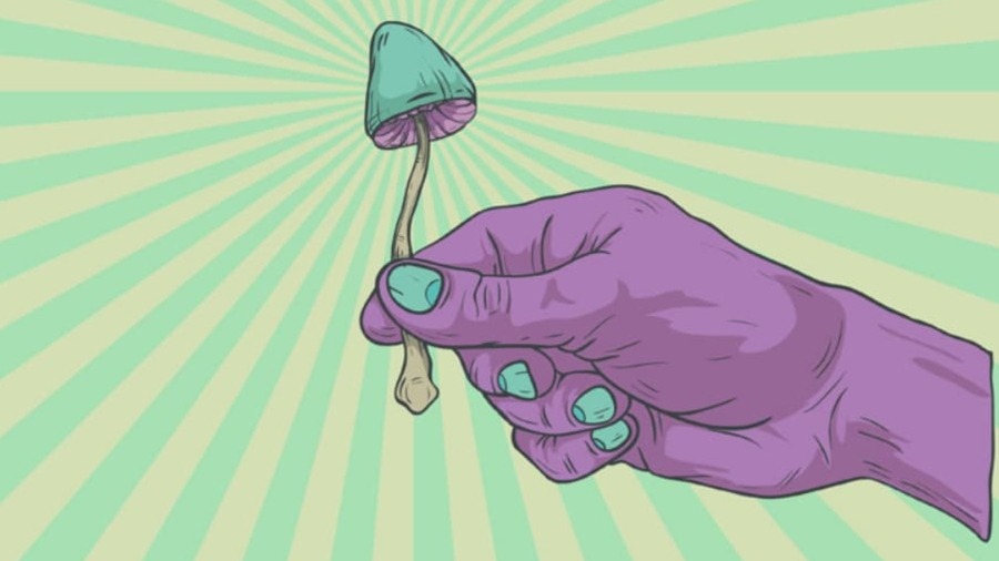 Ilustração de uma mão roxa, com unhas verdes, segurando um cogumelo mágico, com fundo em feixes de cor verde e amarelo que partem de um ponto focal no topo da imagem. Universidade.