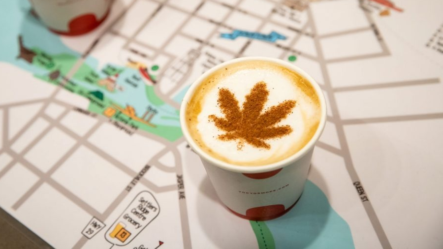 Fotografia em vista superior de um mapa apoiado em uma superfície lisa e esticado sob um copo de café, com espuma decorada com desenho de uma folha de cannabis. Canadá.