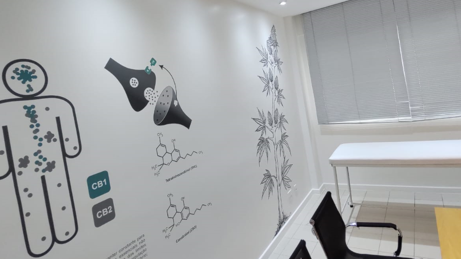 Fotografia em vista superior que mostra parte de sala de consulta da Clínica Gravital, onde vê-se uma parede branca ilustrada com desenhos e informações sobre a cannabis e o sistema endocanabinoide.