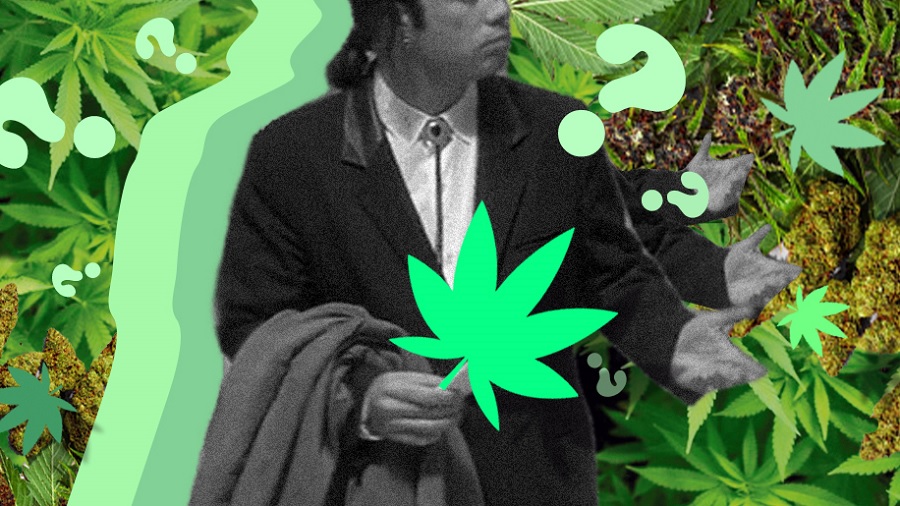 Arte que traz o meme do John Travolta confuso, em preto e branco, segurando o desenho de uma folha de maconha verde e envolto pela mesma e pontos de interrogação, e um fundo composto por fotos de folhas e flores de cannabis.