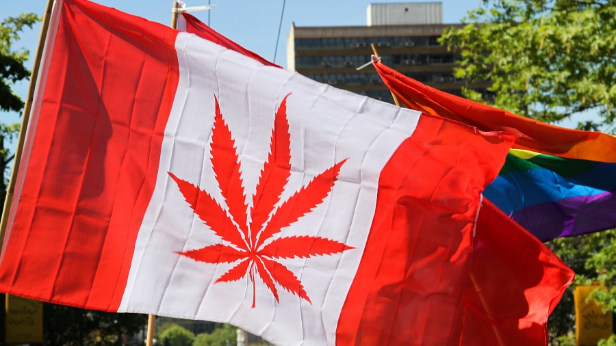 Foto que mostra uma bandeira do Canadá personalizada com uma folha de maconha no lugar da de bordô, tremulante, e, logo atrás, partes de outras bandeiras como a arco-íris do movimento LGBTI. Foto: Cannabis Culture | Flickr.