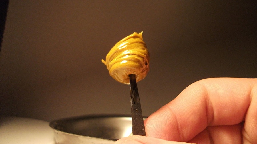 Fotografia em plano fechado que mostra parte de uma mão que segura uma pequena haste de cor marrom com uma porção de concentrado amarelo na ponta, que lembra a doce de leite, e um fundo em tons de marrom. Foto: Vjiced | Wikimedia Commons.