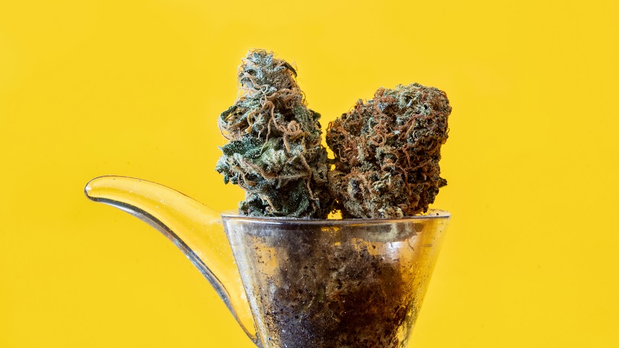 Fotografia de um recipiente transparente em formato cônico e com cabo, contendo dois buds de maconha encaixados em sua boca, em fundo amarelo liso. Imagem: THCamera Cannabis Art.