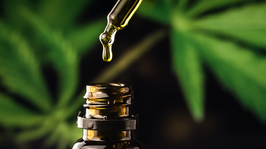 Fotografia que mostra a ponta de uma cânula com óleo de onde sai uma gota, a parte de cima de um frasco de cor âmbar e um fundo desfocado de folhas de cannabis. Foto: Cannabis Radar. eslovaquia