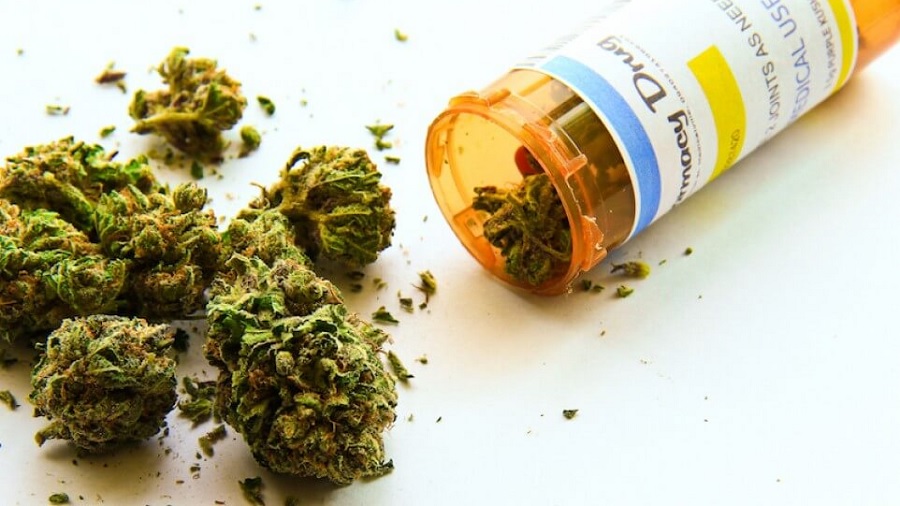 Fotografia que mostra um frasco cilíndrico de cor laranja, com rótulo branco, azul e amarelo, de onde saem buds de cannabis formando uma porção ao lado, em uma superfície branca. Foto: EyeCare 20/20.