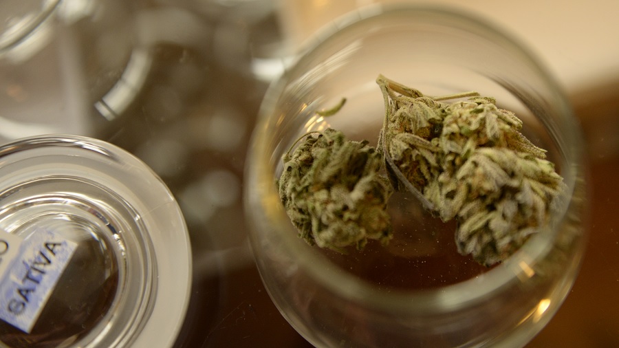 Fotografia de um pequeno pote transparente contendo dois buds de cannabis, ao lado de sua tampa, que tem uma etiqueta com a palavra “sativa”, sobre um balcão de vidro que revela um fundo de cores bege e marrom. Foto: RJ Sangosti | Denver Post.