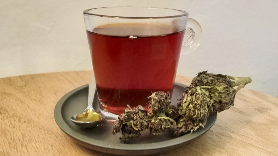 Fotografia que mostra uma xícara transparente cheia de chá de cor marrom-avermelhado, sobre um pires verde-musgo claro onde também estão uma colher e um ramo de cannabis seco, em uma mesa de madeira. Imagem: El Mono Español | Wikimedia Commons.