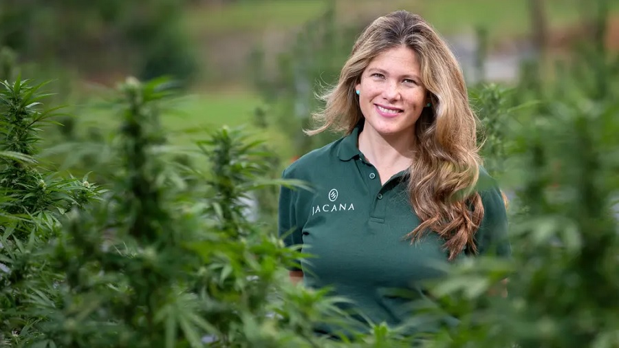 Fotografia que mostra Alexandra Chong sorridente em meio as plantas de sua fazenda de cannabis, usando uma camisa verde com o logo da Jacana em branco. Imagem: Jack Brockway / divulgação.