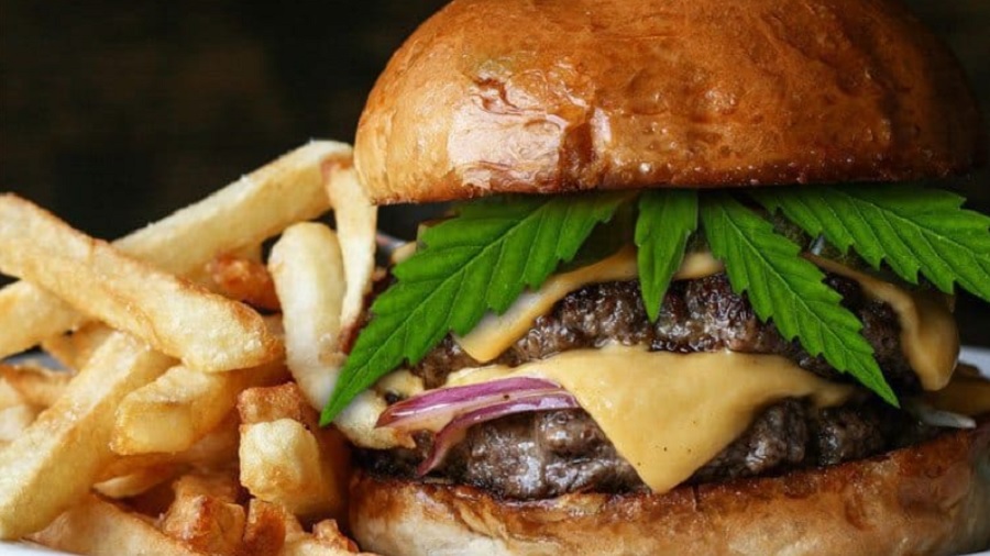 Fotografia de um hambúrguer duplo com uma folha de cannabis logo abaixo do topo do pão, ao lado de uma porção de fritas. Imagem: Primo.