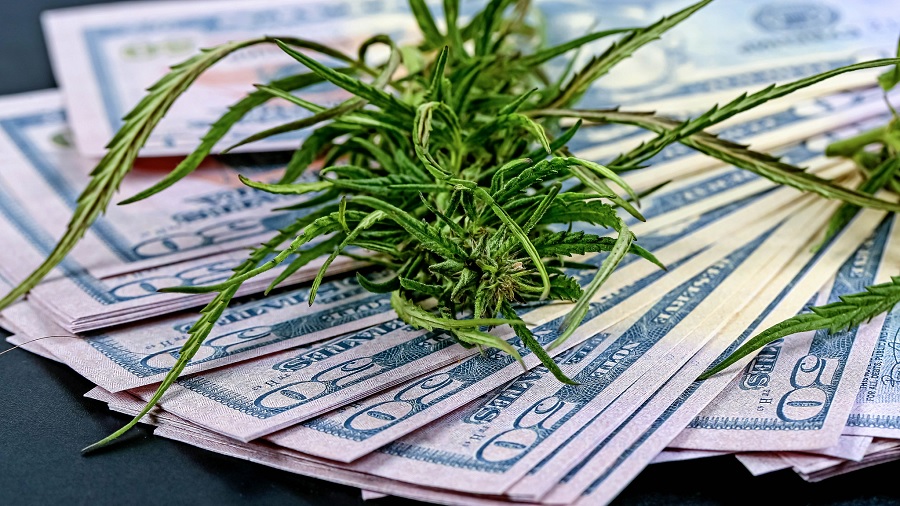 Foto que mostra, em plano fechado, um pequeno ramo de cannabis (maconha) sobre um leque de notas de dólares. Imagem: Marco Verch | Flickr.