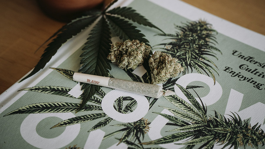 Fotografia mostra um livro cuja capa tem estampa de cannabis e, sobre ele, uma folha da planta, buds e um baseado enrolado. Foto: Shelby Ireland | Unsplash.