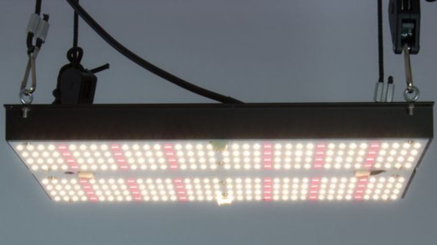 Fotografia mostra um painel de LED pendurado e aceso em fundo neutro, com alguns cabos aparentes na parte superior. Imagem: Divulgação | Raiz.