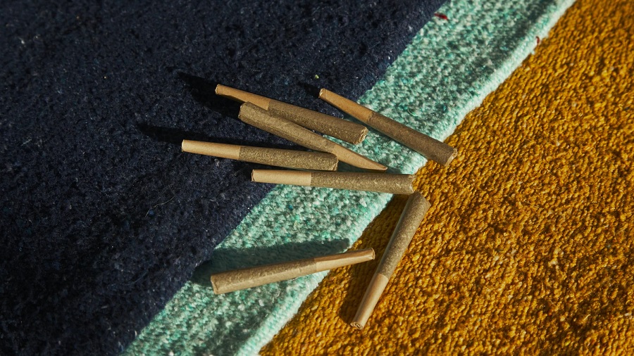 Fotografia, tirada de cima pra baixo, de uma porção de baseados pré-enrolados com seda brown e piteira sobre uma toalha de três cores, azul, azul-claro e amarelo. Foto: Unsplash / Dad Grass.