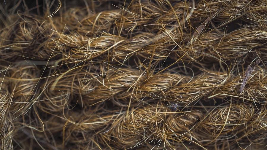 Fotografia, em close, de um emaranhado de fibras de cânhamo em tons de bege, que preenche todo quadro. Imagem: Michael Gaida | Pixabay.