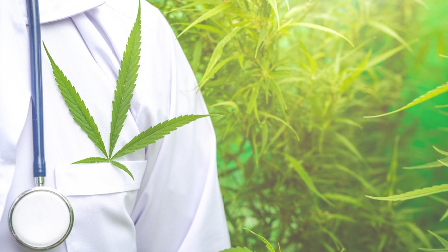 folha jaleco Médico lança espaço dedicado ao tratamento com cannabis em São Bernardo do Campo (SP)