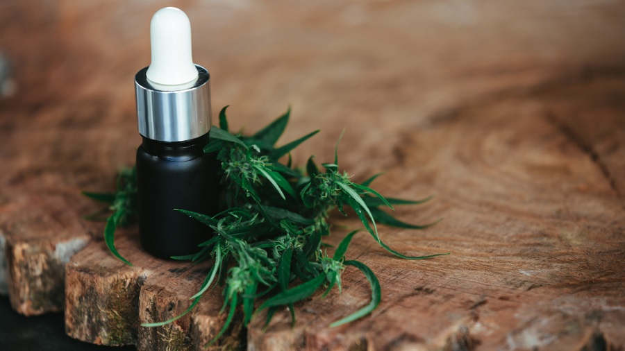 frasco ramo madeira Efeito comitiva: novas pistas sobre como os extratos de cannabis funcionam