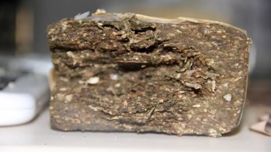 Fotografia de uma substância de cor marrom-esverdeado prensada, em formato retangular, com várias impurezas que remetem a sementes e galhos, sobre uma superfície branca. Foto: PMPR.