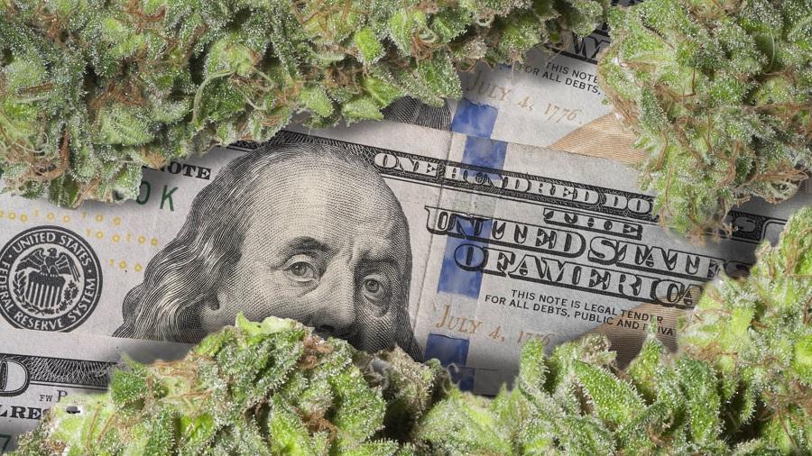 Fotografia mostra buds de cannabis, nas partes inferior, superior e direita da imagem, sobre notas de cem dólares.
