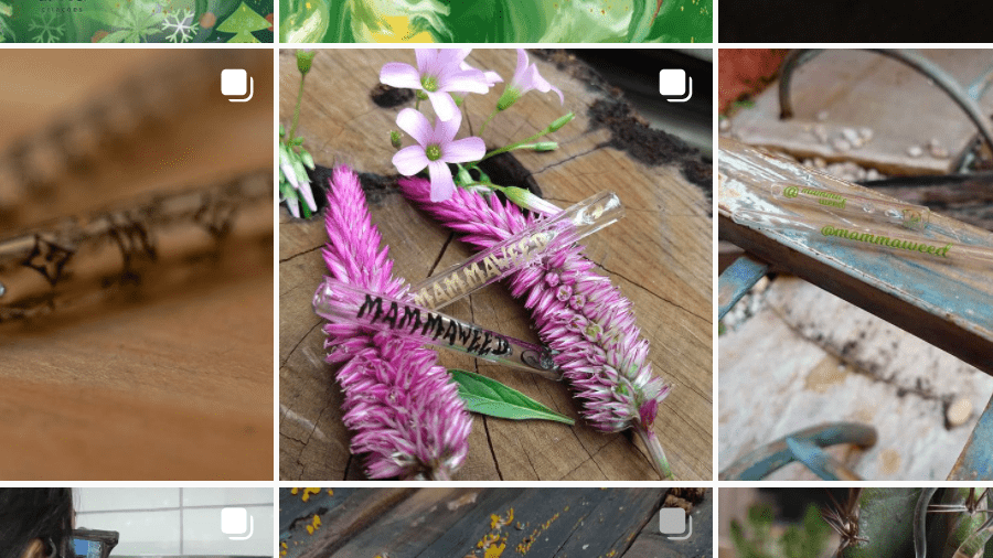 Captura de tela do feed do perfil de Mamma Weed Criações no Instagram, onde se veem fotos de produtos produzidos pela artista, como duas piteiras de vidro com a marca mammaweed junto a inflorescências de Celosia argentea.
