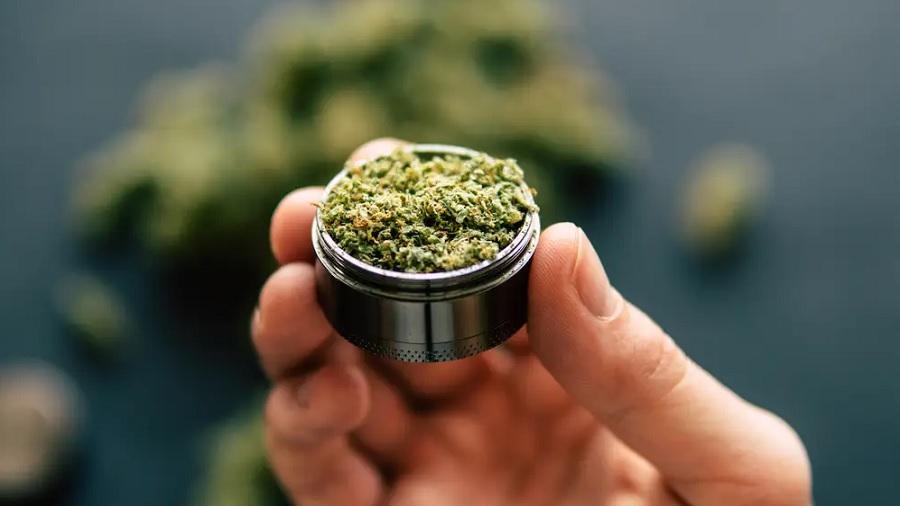 Fotografia mostra um dichavador metálico contendo maconha triturada e os dedos que o seguram, e uma porção de cannabis sobre uma superfície cinza-escura, ao fundo, fora do foco. Imagem: Insider.