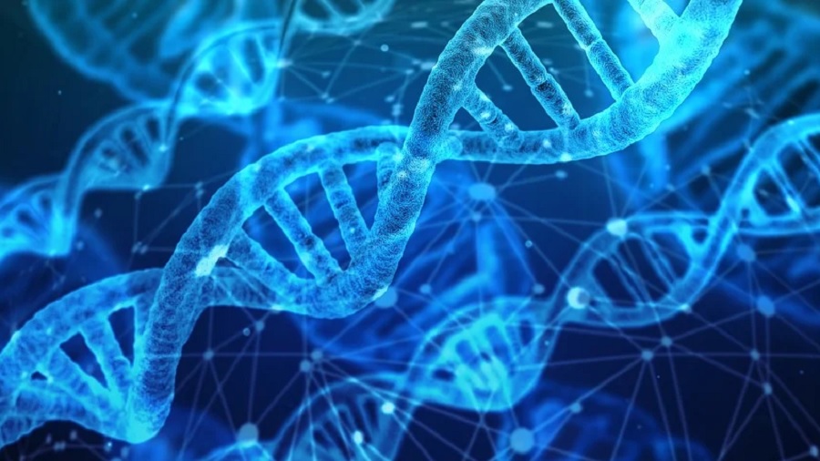 Ilustração, em tons de azul, de sequências de DNA em meio a linhas interligadas por pontos. Imagem: Gerd Altmann / Pixabay.