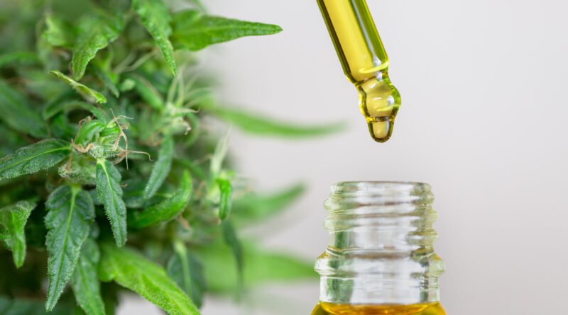 Foto mostra a parte de cima de um frasco transparente contendo óleo e a ponta de um conta-gotas com o mesmo líquido, ao lado de uma planta de cannabis. Imagem: Vecteezy | Tinnakorn Jorruang.