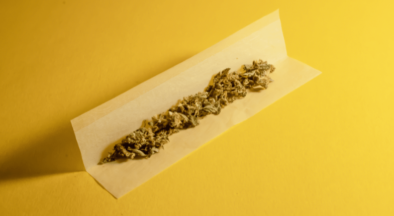 Fotografia mostra uma porção de erva triturada sobre um papel de seda aberto, em fundo amarelo. Foto: THCamera.