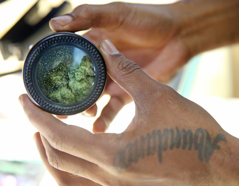 Foto mostra as mãos de uma pessoa segurando um pote contendo buds de maconha. Imagem: John Kuntz, Cleveland.com.