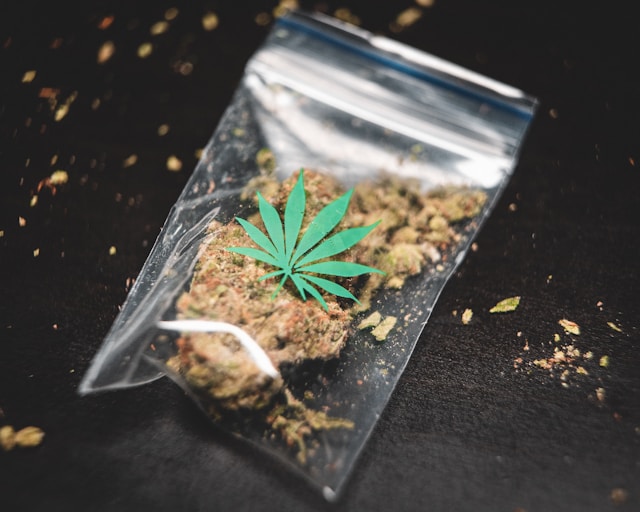 Imagem de um ziploc com maconha. foto Gras Grun Unsplash